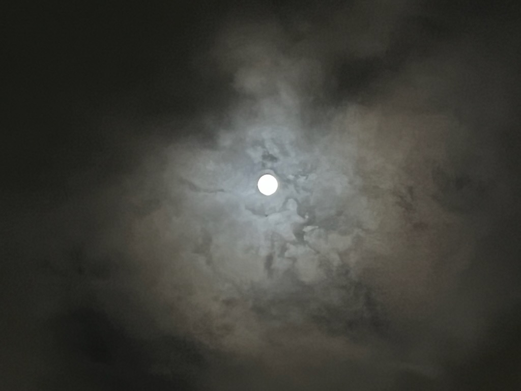 十五夜の月