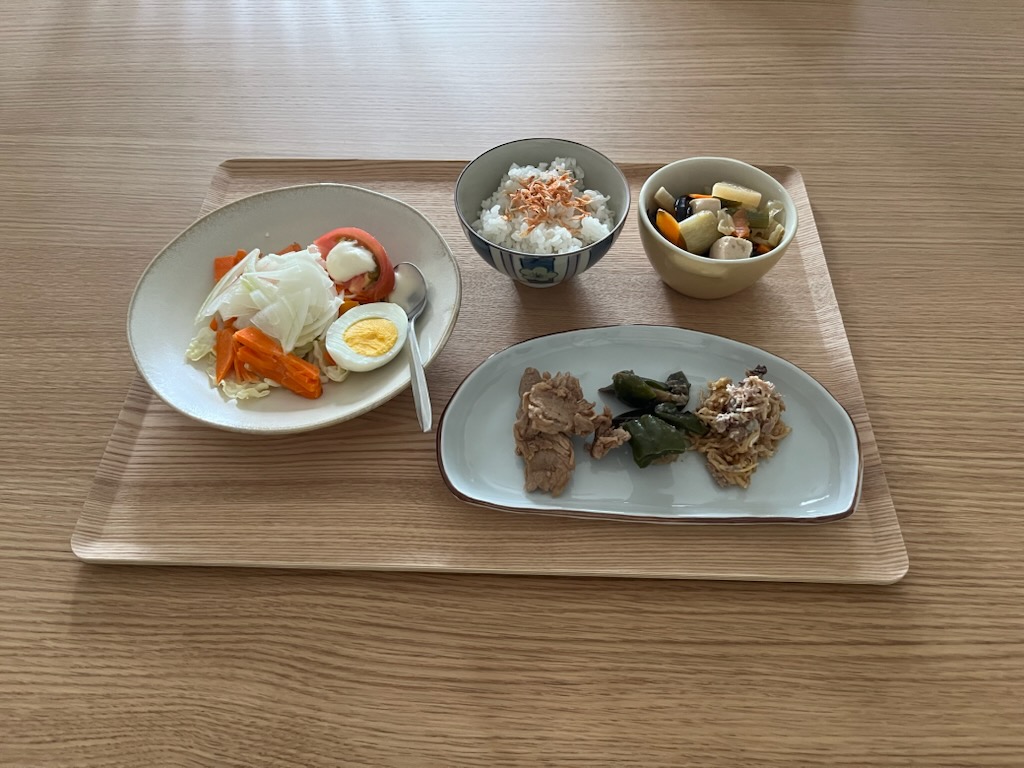 小皿に盛った私の昼ご飯