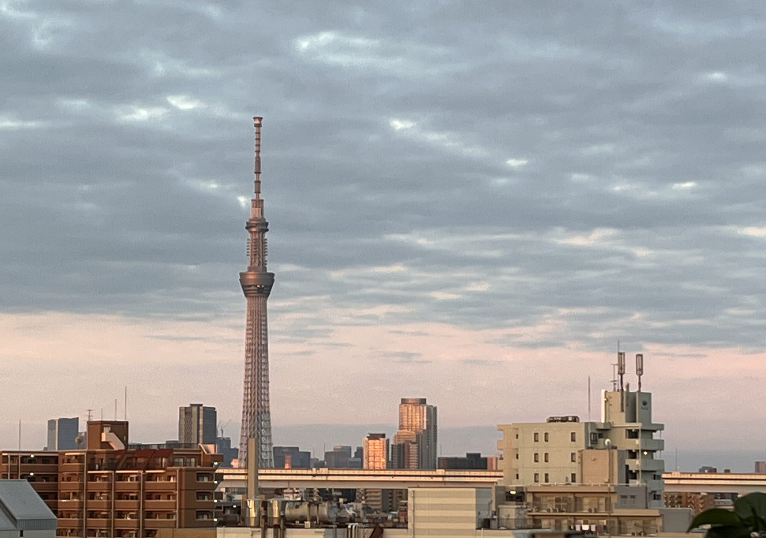 朝のスカイツリー